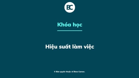 Hiệu suất làm việc